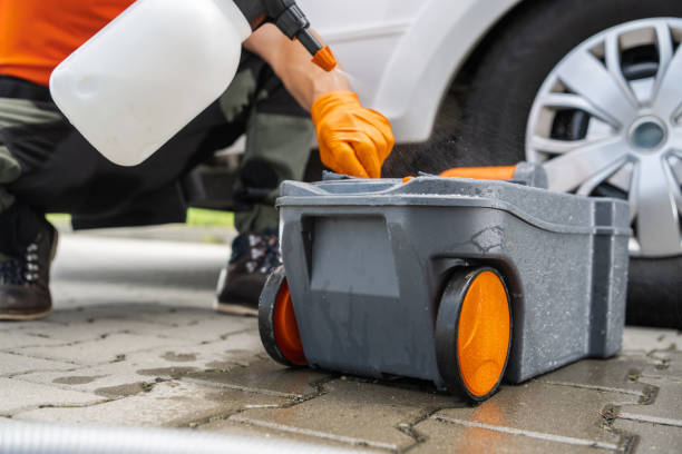 Best Tree Disease Treatment  in Manasquan, NJ